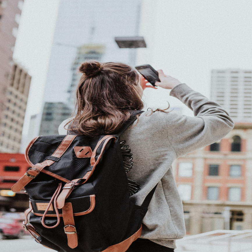 traveller